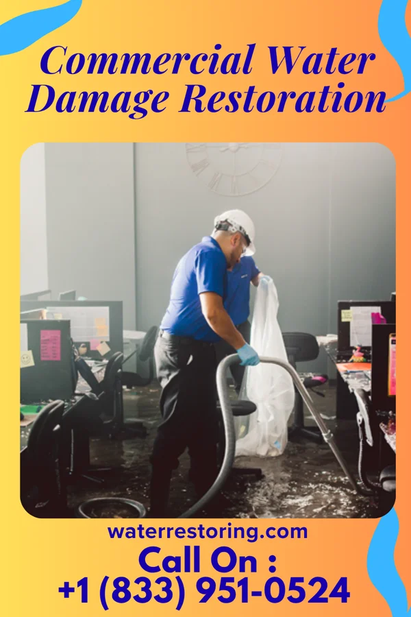 Commercial Water Damage Restoration in Robinson, ND