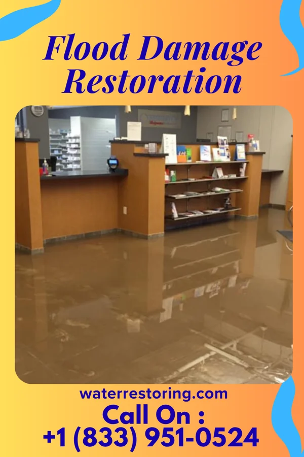 Flood Damage Restoration in Robinson, ND